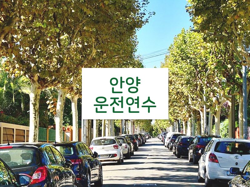 안양운전연수 후기