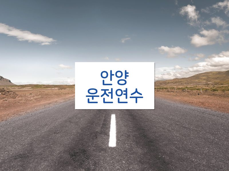 안양운전연수 후기