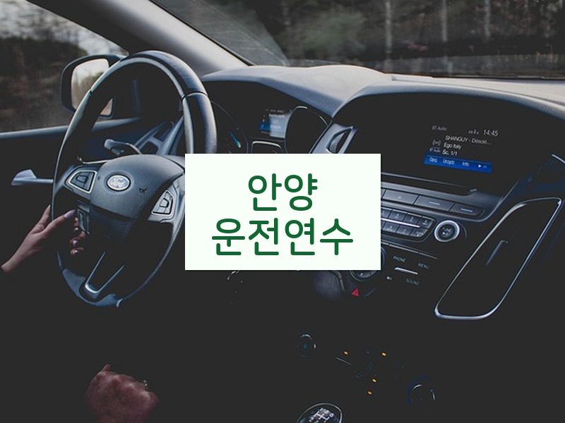 안양운전연수 후기