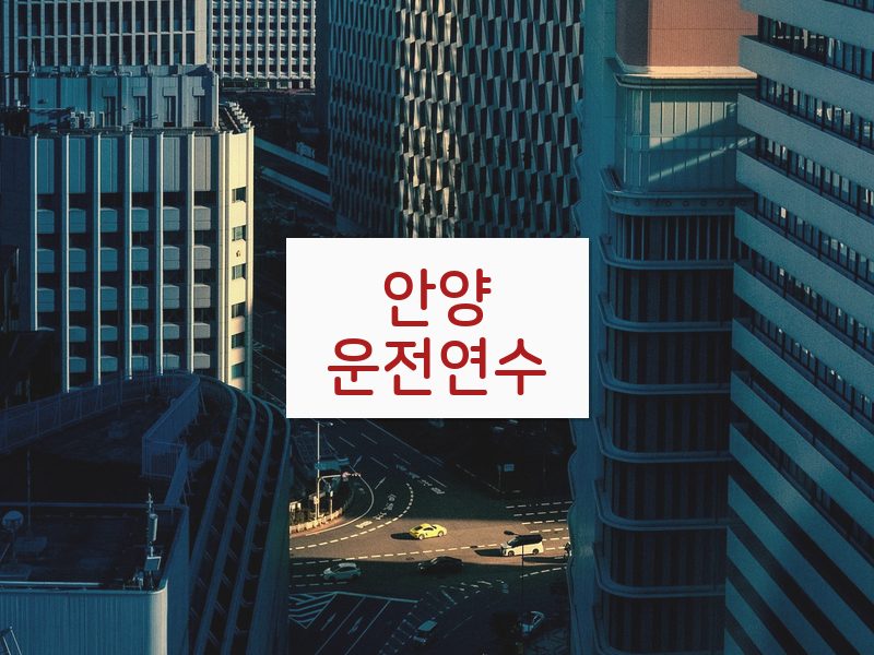 안양운전연수 후기