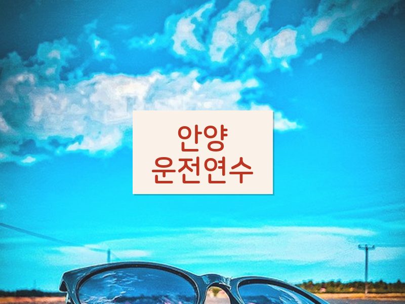 안양운전연수 후기