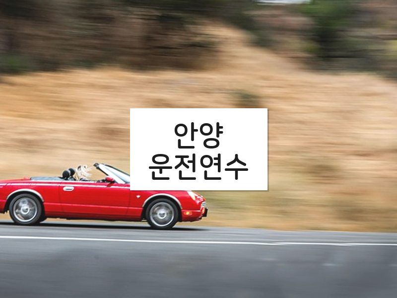 안양운전연수 후기