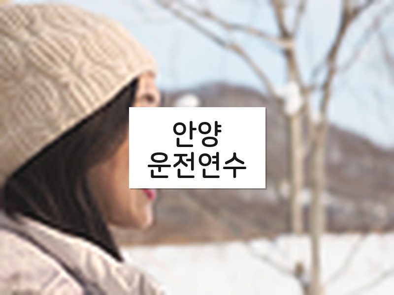 안양운전연수 후기