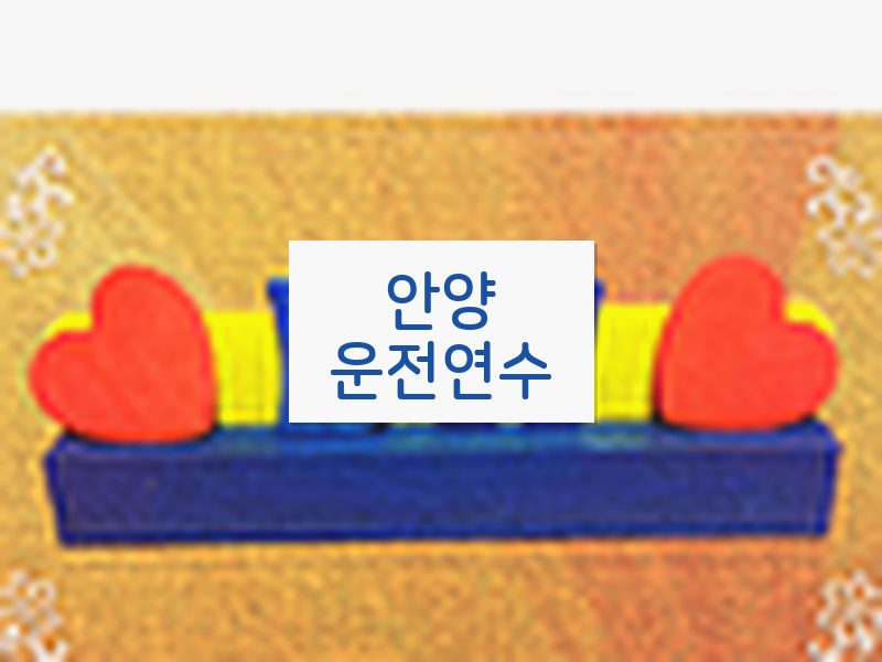안양운전연수 후기
