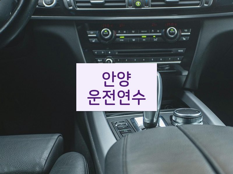 안양운전연수 후기