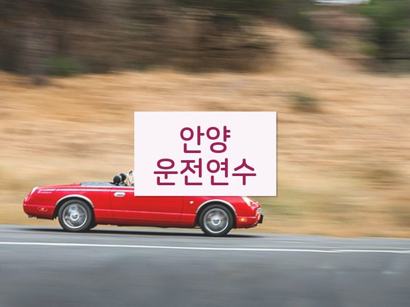 안양운전연수 후기