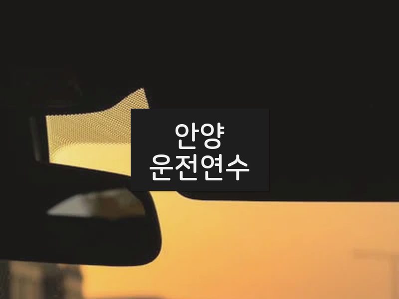 안양운전연수 후기