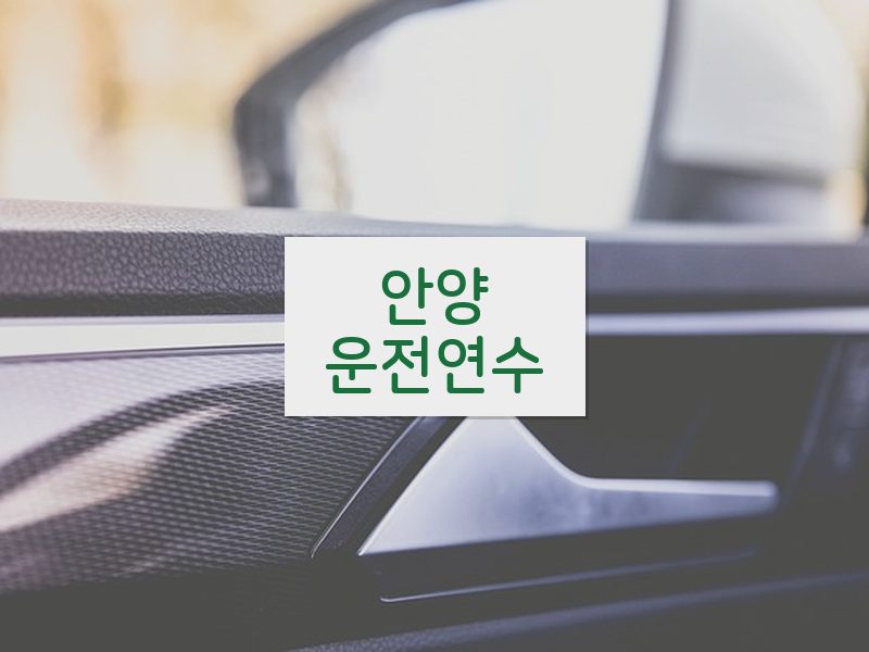 안양운전연수 후기