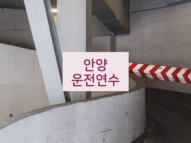 안양운전연수 후기