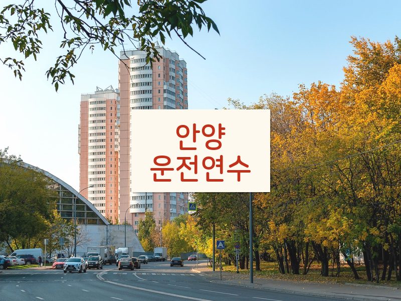 안양운전연수 후기