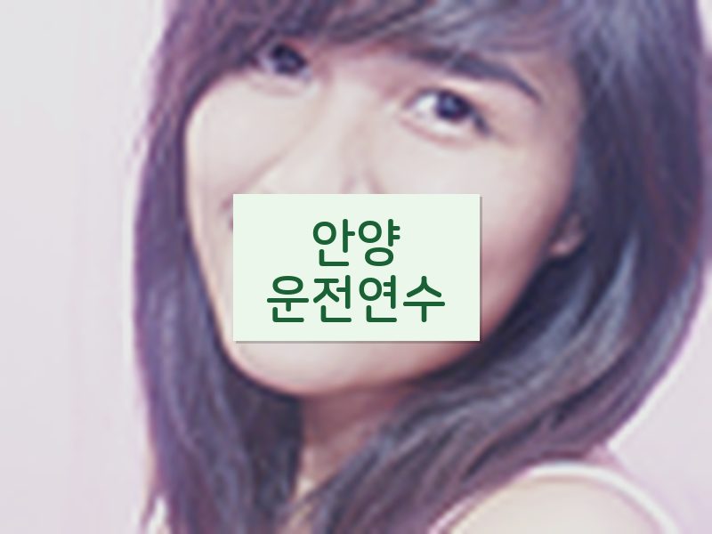 안양운전연수 후기