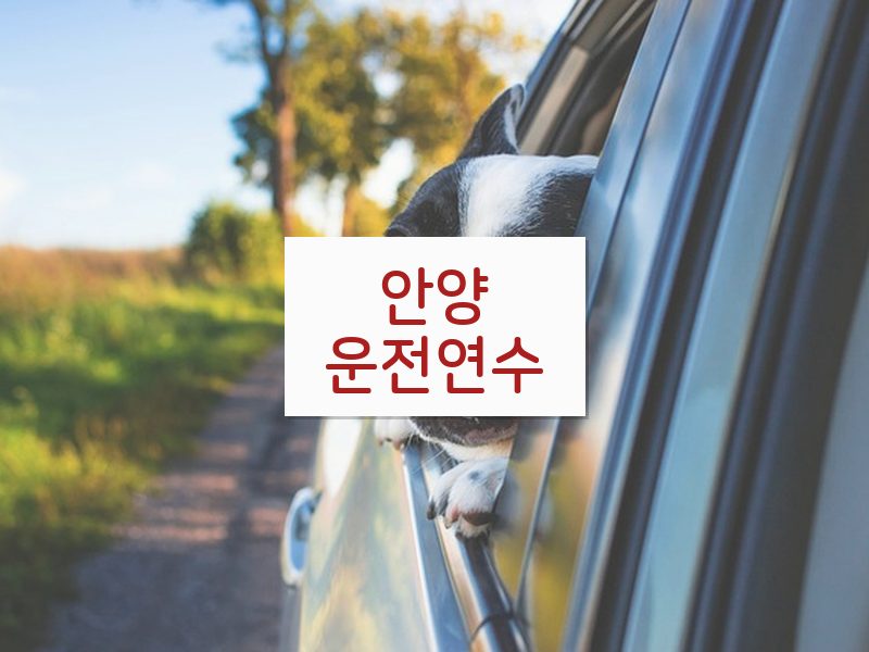 안양운전연수 후기