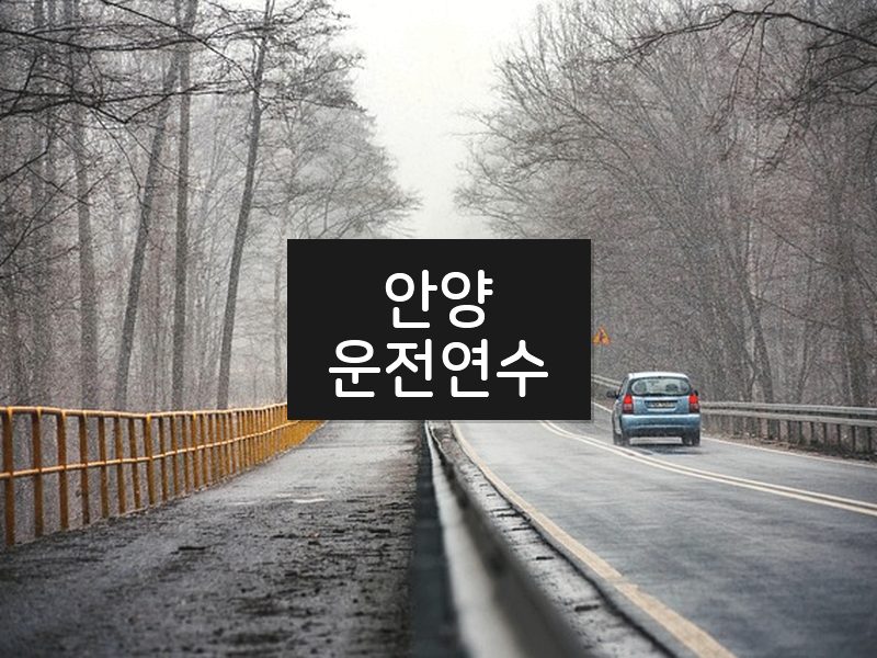 안양운전연수 후기