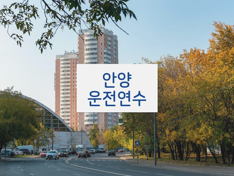 안양운전연수 후기