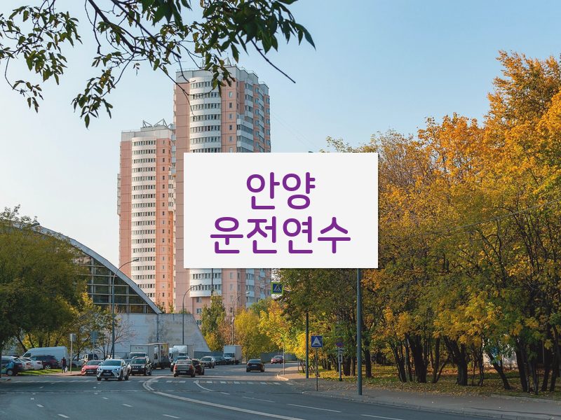 안양운전연수 후기