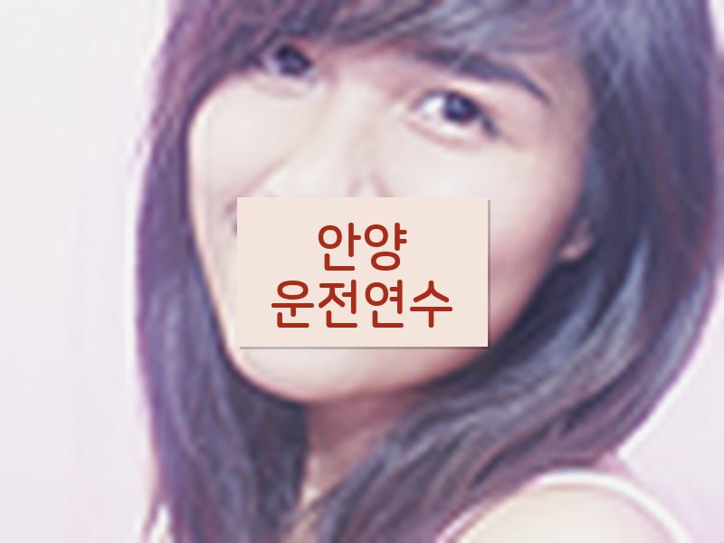 안양운전연수 후기