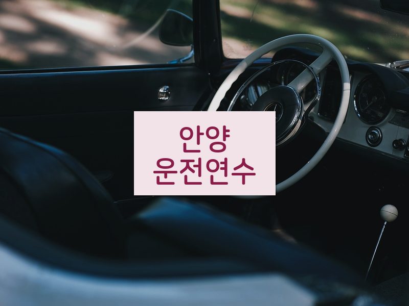 안양운전연수 후기