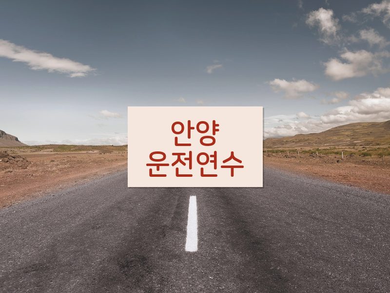 안양운전연수 후기