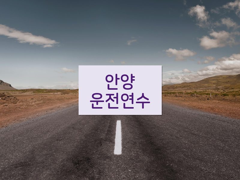 안양운전연수 후기