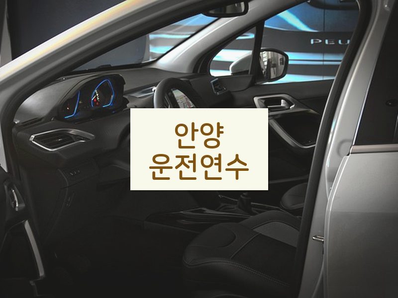 안양운전연수 후기