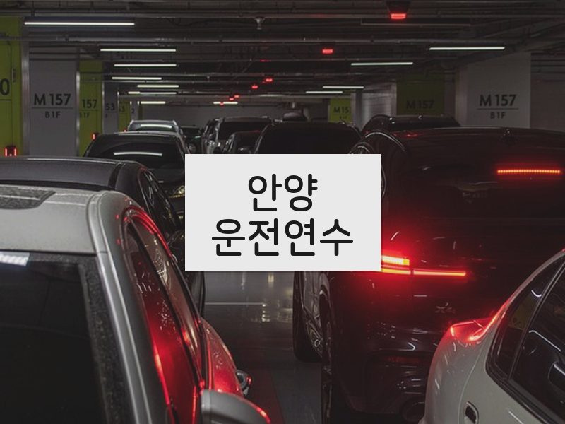 안양운전연수 후기
