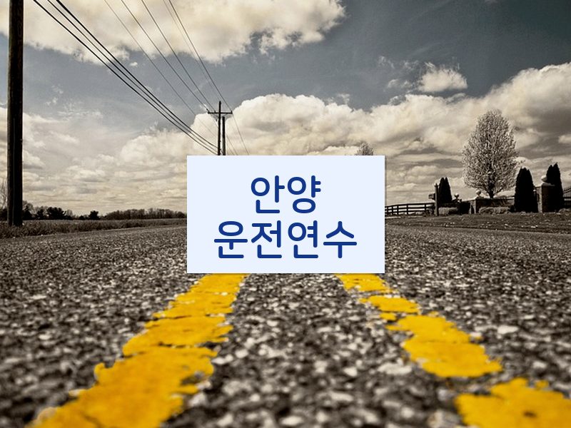 안양운전연수 후기