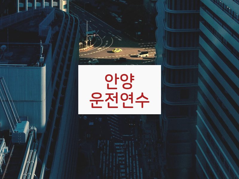 안양운전연수 후기