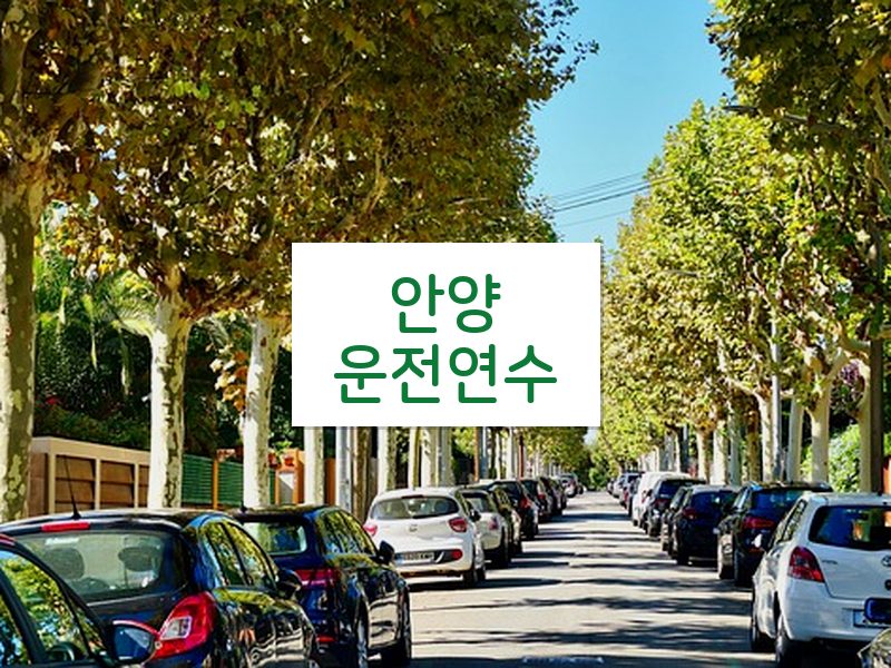 안양운전연수 후기