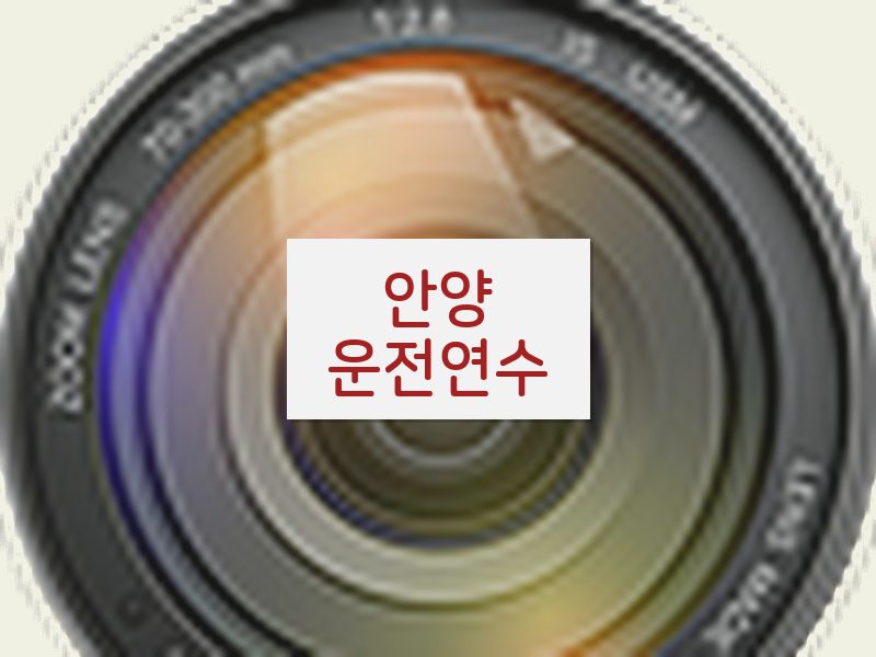 안양운전연수 후기