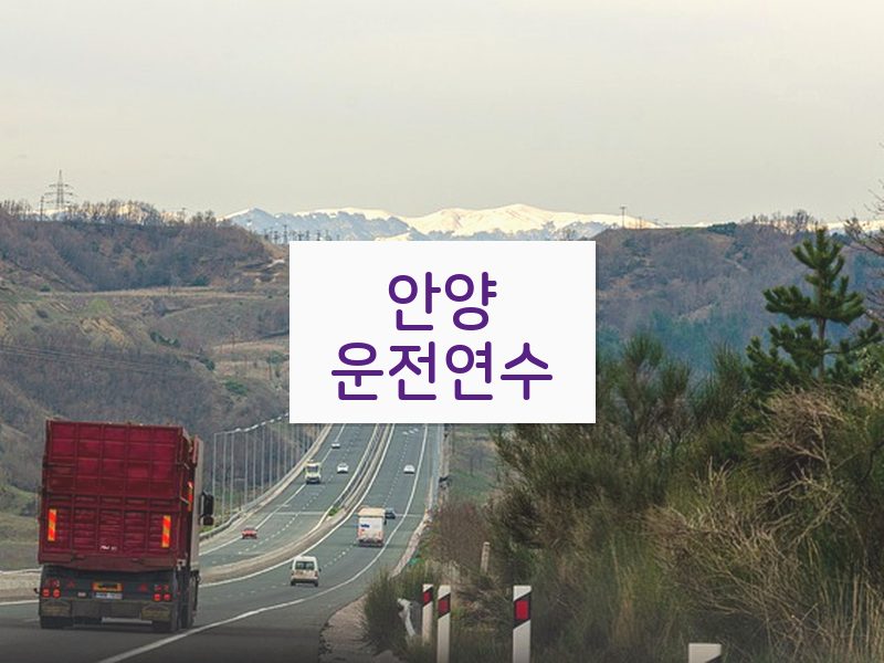 안양운전연수 후기