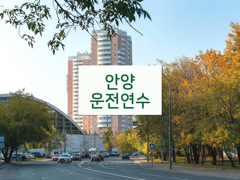 안양운전연수 후기