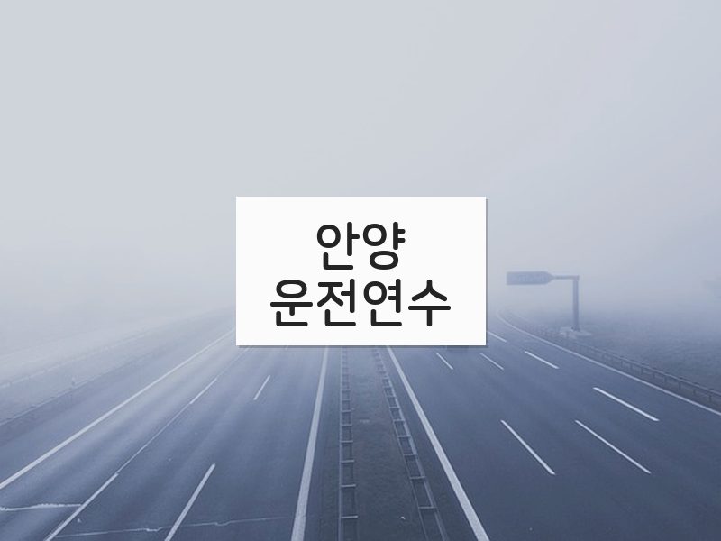 안양운전연수 후기