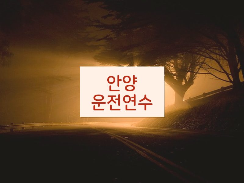 안양운전연수 후기