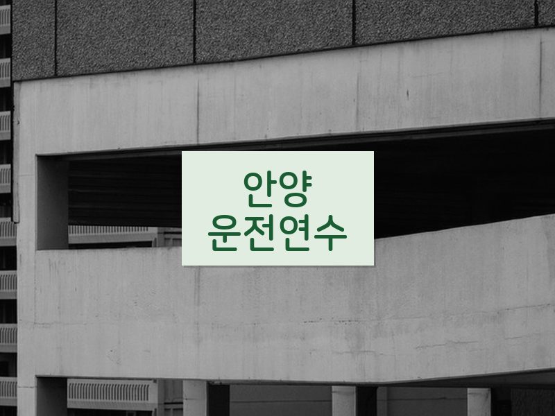 안양운전연수 후기