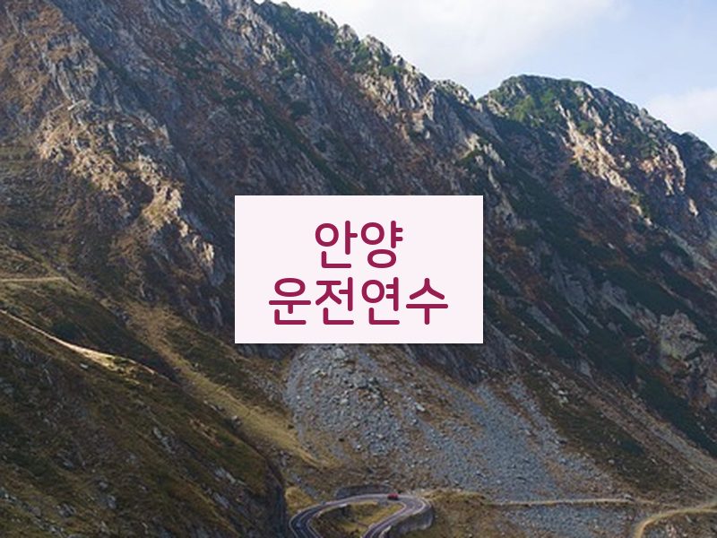 안양운전연수 후기