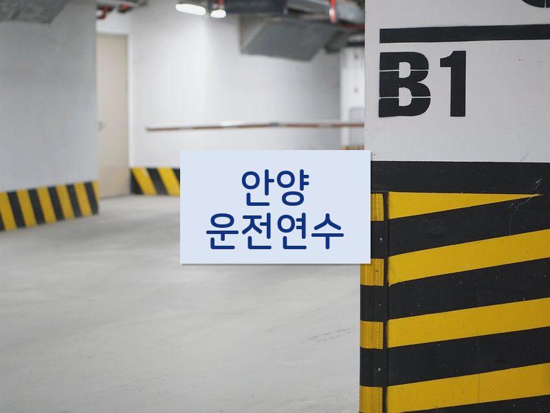 안양운전연수 후기