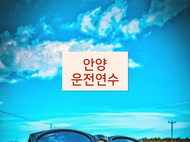 안양운전연수 후기