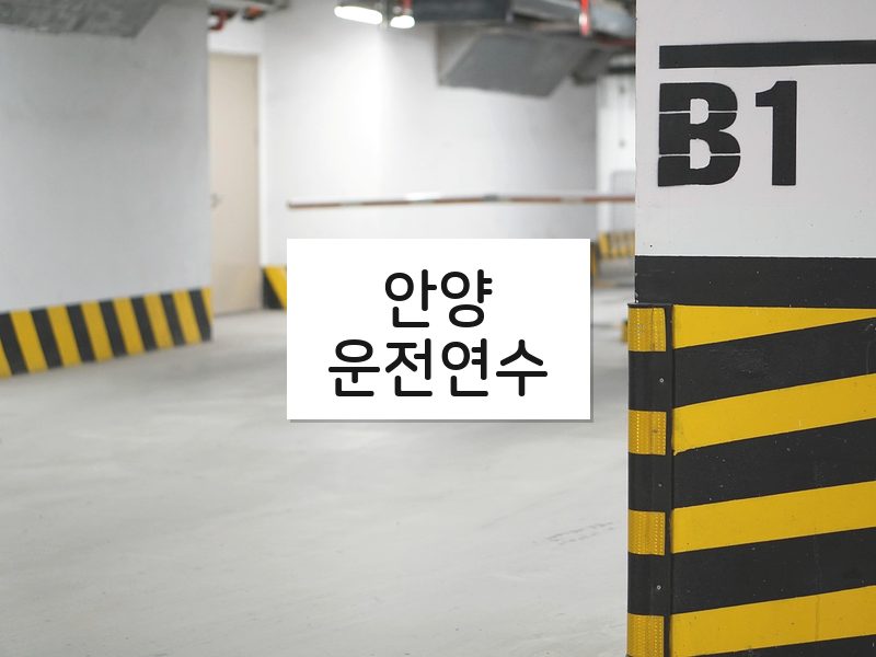 안양운전연수 후기
