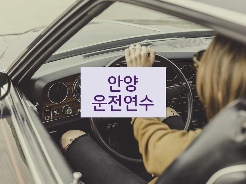 안양운전연수 후기