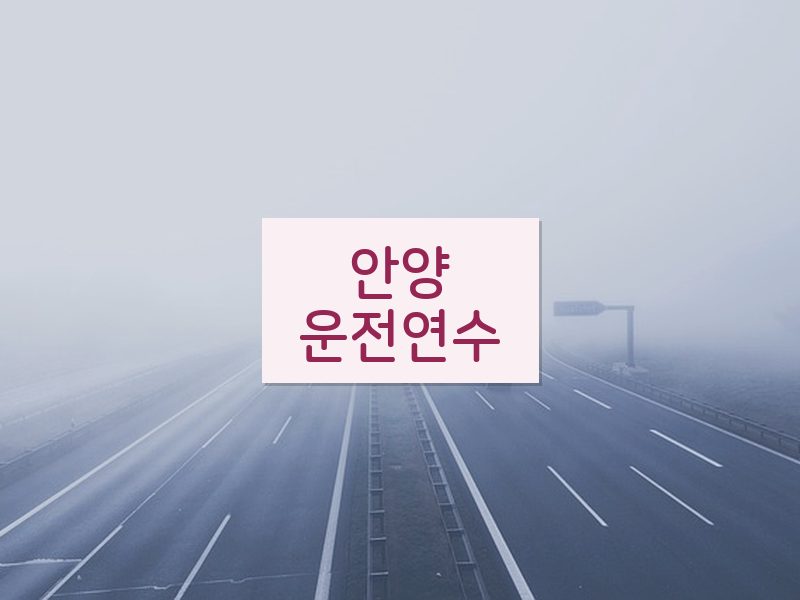 안양운전연수 후기