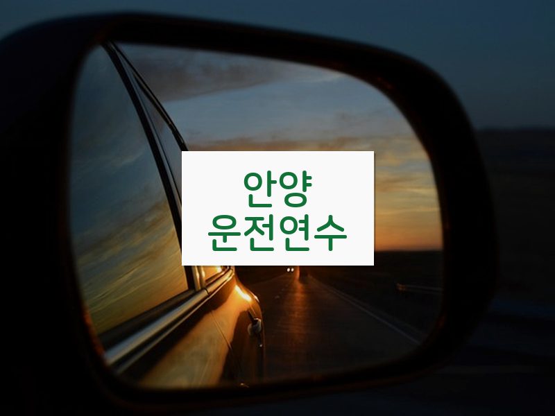 안양운전연수 후기