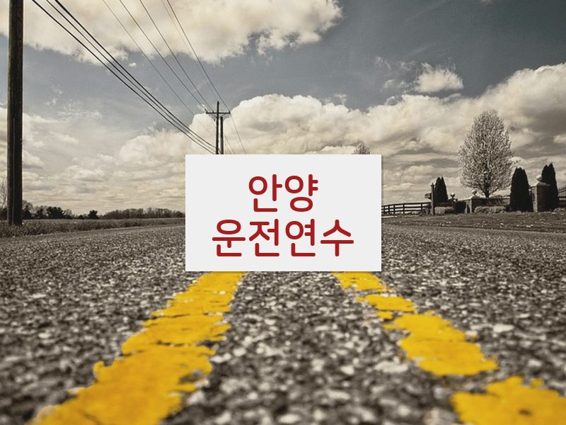 안양운전연수 후기