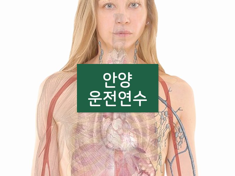 안양운전연수 후기