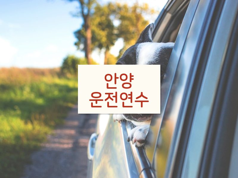 안양운전연수 후기
