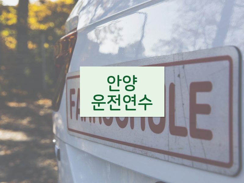 안양운전연수 후기