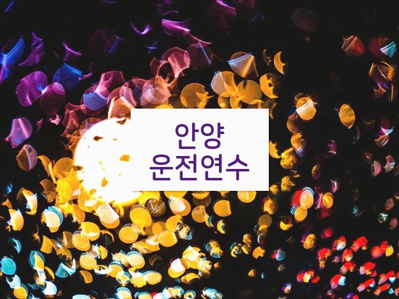 안양운전연수 후기
