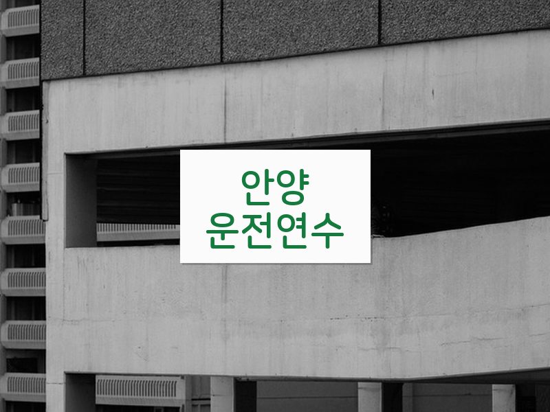 안양운전연수 후기