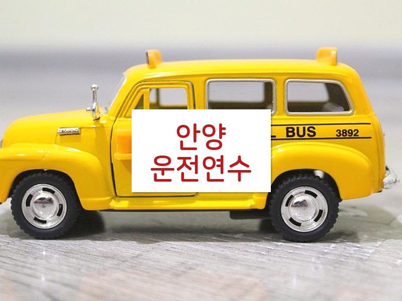 안양운전연수 후기