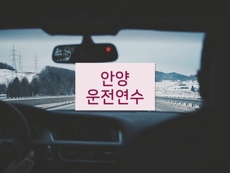 안양운전연수 후기
