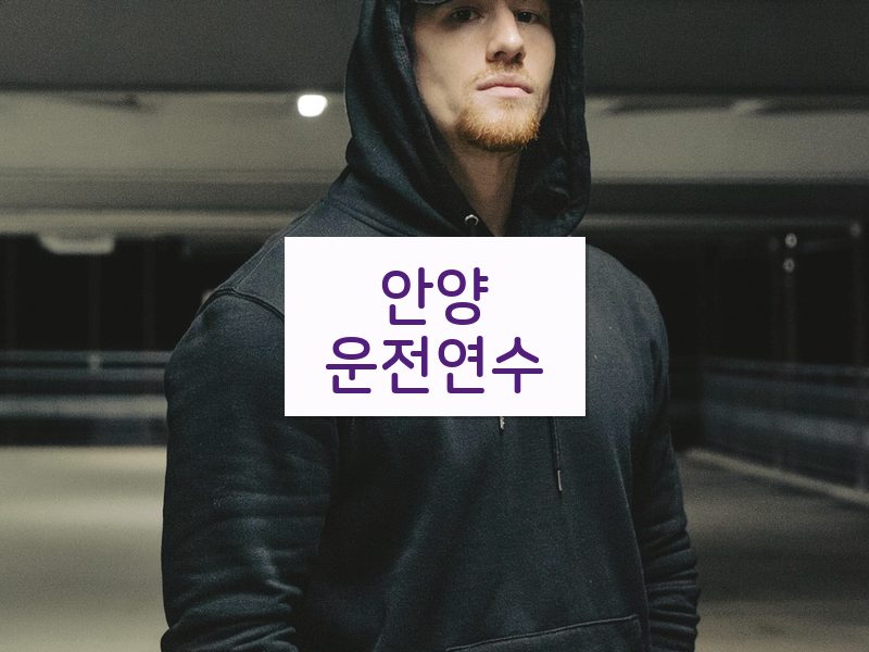 안양운전연수 후기